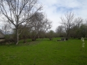 Satılır 24 sot torpaq Qəbələ