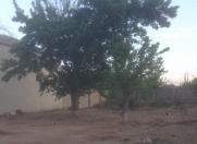 Satılır 9 sot torpaq Sumqayıt