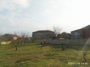 Satılır 10 sot torpaq Albalı