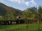 Satılır 10 sot torpaq Qax