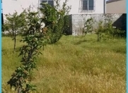 Satılır 3 otaqlı 600 m2 həyət evi Abşeron r.