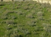 Satılır 11 otaqlı 600 m2 həyət evi Badamdar