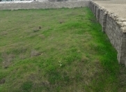 Satılır 5 sot torpaq Fatmayı