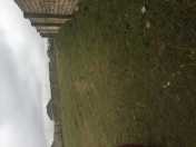 Satılır 28 sot torpaq Albalı