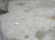 Satılır 4 sot torpaq Avtovağzal m.