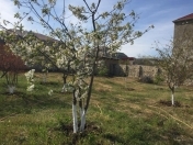 Satılır 7.2 sot torpaq Masazır