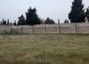 Satılır 16 sot torpaq Mərdəkan