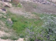 Satılır 6 sot torpaq Sumqayıt