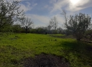 Satılır 22 sot torpaq Qəbələ