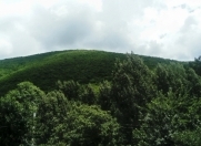 Satılır 6 sot torpaq Şəki