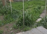 Satılır 6 otaqlı 220 m2 həyət evi Bakıxanov