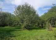 Satılır 22 sot torpaq Qəbələ