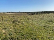 Satılır 20 sot torpaq Zirə