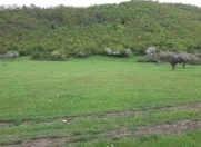 Satılır 18 sot torpaq Quba