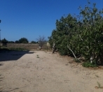 Satılır 20 sot torpaq Bilgəh