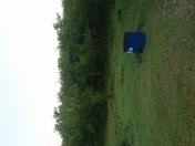 Satılır 4 otaqlı 841 m2 həyət evi Xaçmaz