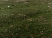 Satılır 50 sot torpaq Binə