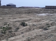 Satılır 70 sot torpaq Abşeron r.