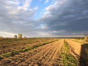 Satılır 315 sot torpaq Xaçmaz