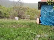 Satılır 6 sot torpaq Şəki