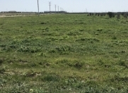 Satılır 100 sot torpaq Binə