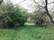 Satılır 19 sot torpaq Qəbələ