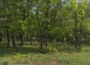 Satılır 40 sot torpaq Xızı