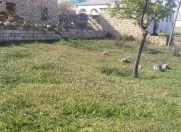 Satılır 2 sot torpaq Hökməli