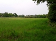 Satılır 20450 sot torpaq Xaçmaz