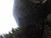 Satılır 8 sot torpaq Tovuz