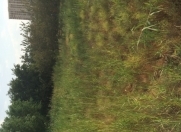 Satılır 25 sot torpaq Yeni Yasamal