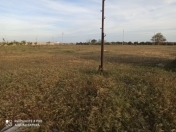 Satılır 80 sot torpaq Zirə