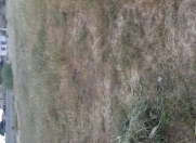 Satılır 25 sot torpaq Maştağa