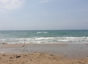 Satılır 25 sot torpaq Türkan