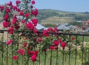 İcarəyə verilir 5 otaqlı 160 m2 yeni tikili Şamaxı