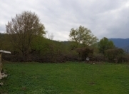 Satılır 12 sot torpaq Quba