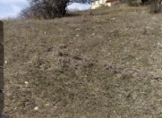 Satılır 12 sot torpaq Şamaxı