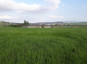 Satılır 400 sot torpaq Qobustan