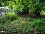 Satılır 51 sot torpaq Qəbələ