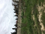 Satılır 5 sot torpaq Savalan