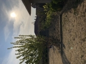 Satılır 6 otaqlı 340 m2 bağ evi Pirşağı