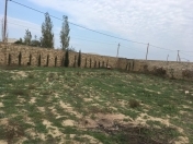 Satılır 6 sot torpaq Zirə