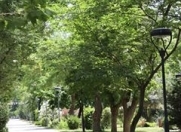 Satılır 1.25 sot torpaq Mingəçevir