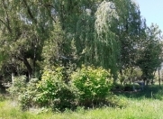 Satılır 8 sot torpaq Quba