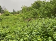 Satılır 11 sot torpaq İsmayıllı