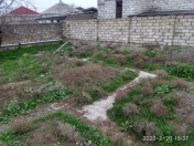 Satılır 2.4 sot torpaq Buzovna