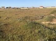 Satılır 1300 sot torpaq Masazır