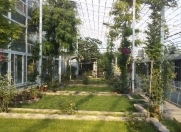 Satılır 25 sot torpaq Olimpia Stadionu