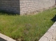 Satılır 6 sot torpaq Savalan