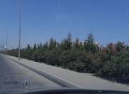 Satılır 10000 sot torpaq Neftçilər m.